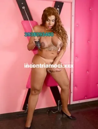 30 - Sheila Trans Livorno - 3938093460