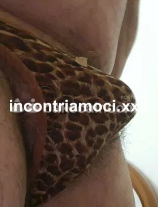 3532146159 - Bull 57 Milf Cosenza