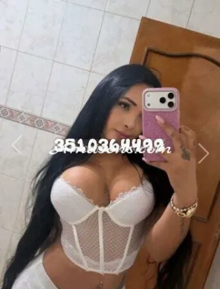 5 - Flavia Trans Varese - 3510364499