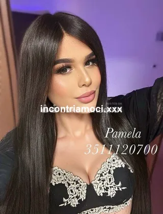 27 - Pamy Pornostar Trans Pesaro e Urbino - 3511120700