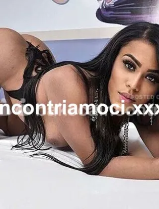 13 - Nicolle Trans Pescara - 3500012666
