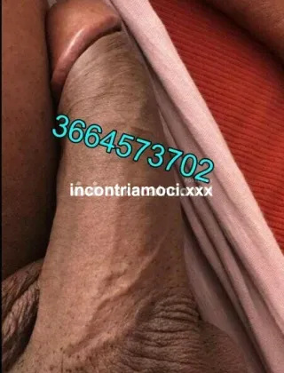 22 - Mirella Trans Torino - 3664573702