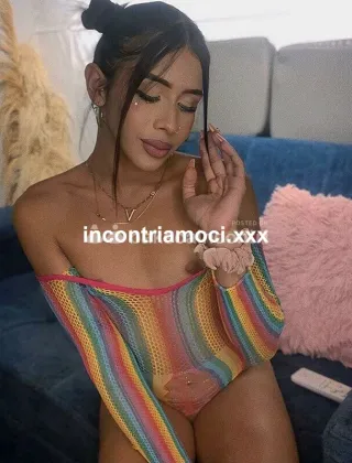 1 - Trans Roma - 3533445362