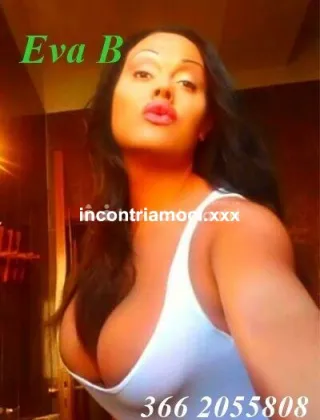 19 - Eva Trans Catanzaro - 3662055808