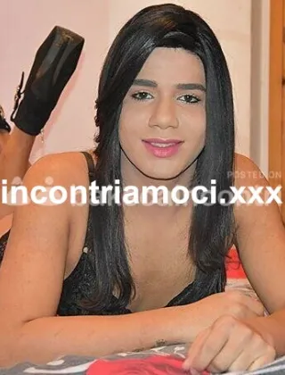 18 - Luna Trans Lucca - 3881078319
