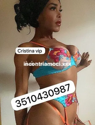 22 - Cristina Trans Lucca - 3510430987