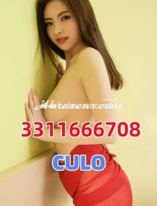 9 - Ragazza Escort Varese - 3311666708