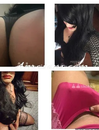 1 - Nikita Trans Ferrara - 3516468256