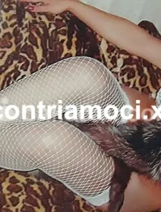18 - Amor Trans Roma - 3532035504