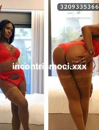 33 - Paloma Trans Caserta - 3209335366