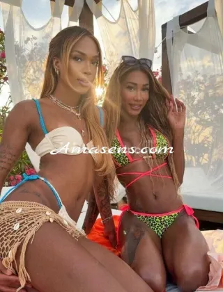 14 - Kelly Trans Varese - 3249081788