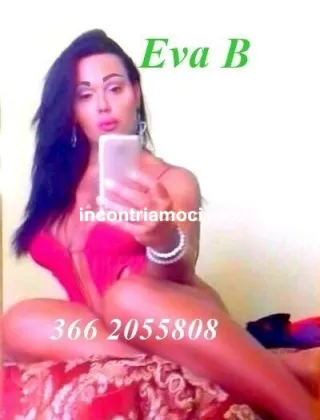 17 - Eva Trans Catanzaro - 3662055808