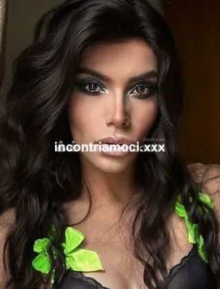11 - Ramona Trans Ancona - 3895323755