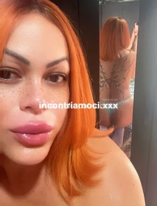 31 - Solo Oggi E Domani Trans Novara - 3317878069