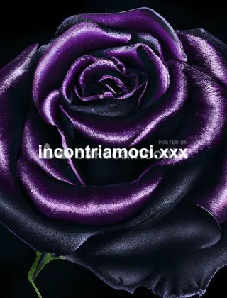 3716960004 - Cazzoenorme 49 Escort Taranto