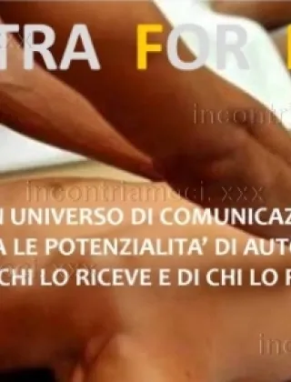 1 - Trans Milano - 3274613000