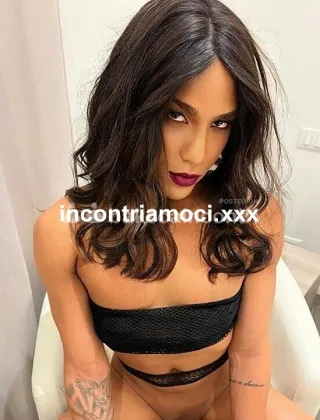 12 - Biia Trans Ravenna - 3508896529
