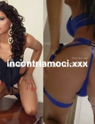 29 - Perla Trans Torino - 3339437456