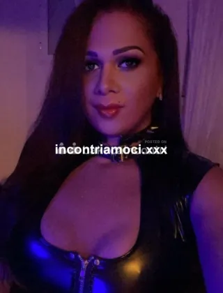 6 - Angely Trans Latina - 3533570200