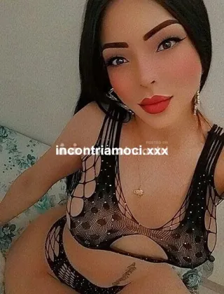 8 - Trans Latina - 3274932725