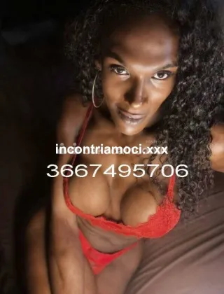 22 - Diana Trans Roma - 3667495706