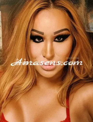 11 - Dara Trans L'Aquila - 3757352885