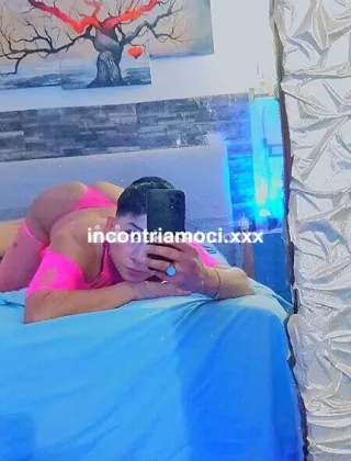 5 - Ambar Vigevano Trans Pavia - 3348923070