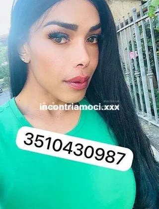 26 - Cristina Trans Lucca - 3510430987
