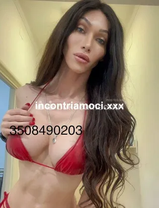 21 - Trans Roma - 3508490203