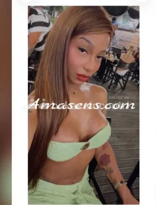 22 - Hillary Trans Ancona - 3384136322