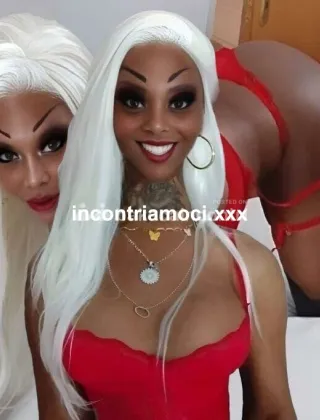33 - Virna Trans Milano - 3494393969