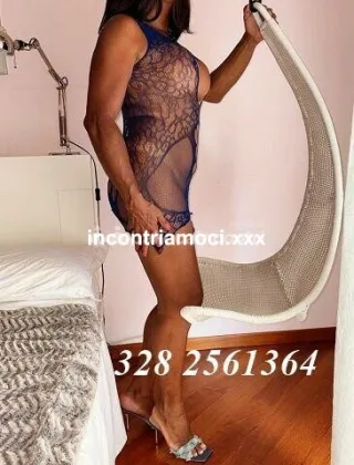 11 - Lana Trans Genova - 3282561364
