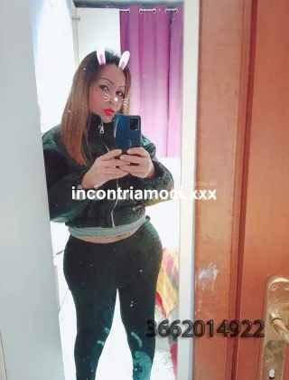 8 - Nicol Trans Perugia - 3662014922