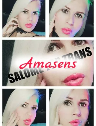 24 - Salom Trans Pisa - 3339525187