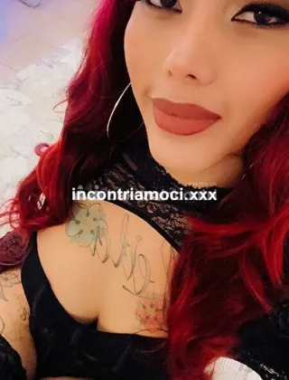 25 - Leila Trans Lodi - 3425239992