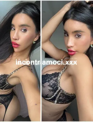 21 - Play Boy Trans Perugia - 3315824143