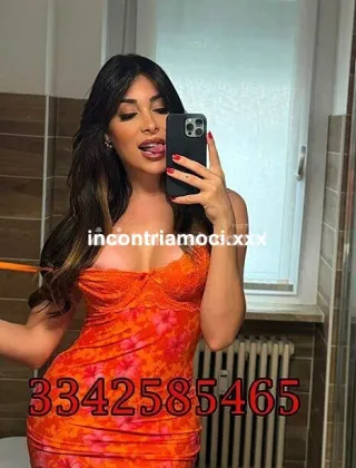 17 - Safina Trans Vicenza - 3342585465