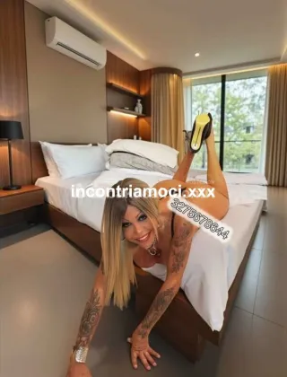 16 - Aline Trans Prato - 3275678644