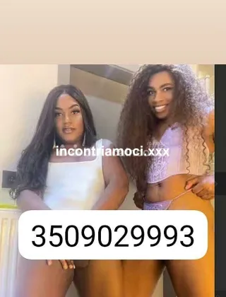 25 - Brenda Trans Perugia - 3509029993