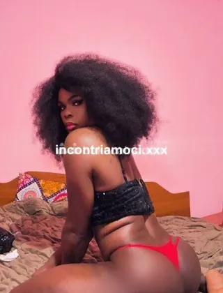 18 - Sandra Trans Torino - 3512498856