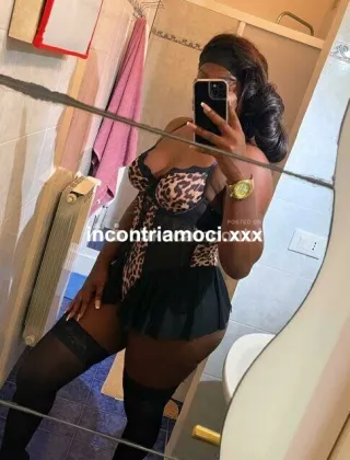 28 - Cavallona Leiteira Trans Lucca - 3932509445