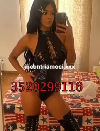 6 - Ayla Trans Salerno - 3520299116