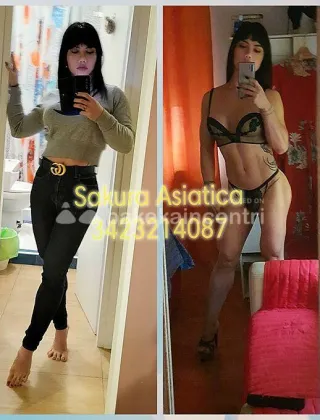 35 - Sakura Trans Roma - 3423214087