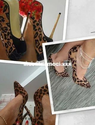 3289004448 - Treviso Erotico 43 Escort Treviso