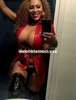 31 - Lorena Trans Torino - 3478717001