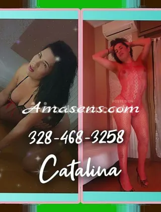 17 - Catalina Trans Milano - 3284683258