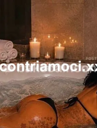 11 - Bruna Trans Mantova - 3488579556