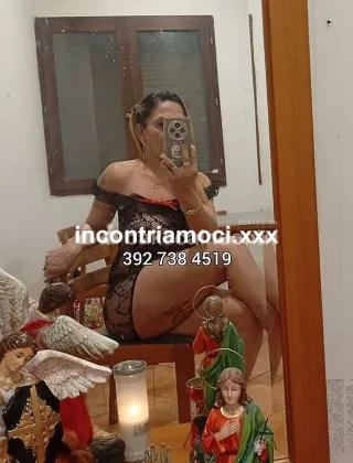 24 - Dayana Trans Latina - 3927384519