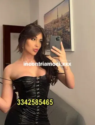 20 - Safina Trans Vicenza - 3342585465