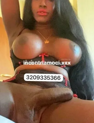 21 - Paloma Trans Caserta - 3209335366